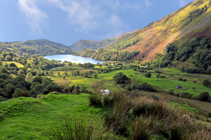 Snowdonia National Park Lodges