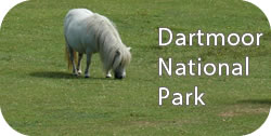 Dartmoor National Park